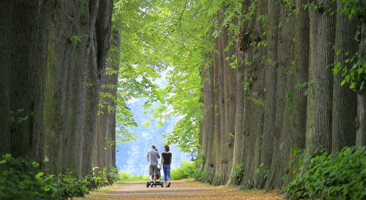 csm Collage Garten Bild 01 bac02ba668